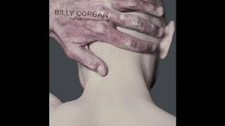 Billy Corgan TheFutureEmbraceLive Full Album