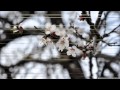 Giles Palmer & Mick Lister - Miles Away 