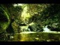 The Acapella Guy - Natural Blues [Moby cover ...
