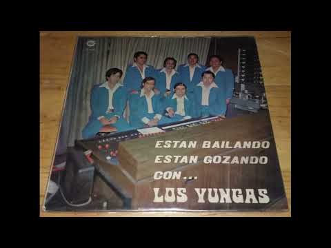 Nido De Felicidad - Cristal