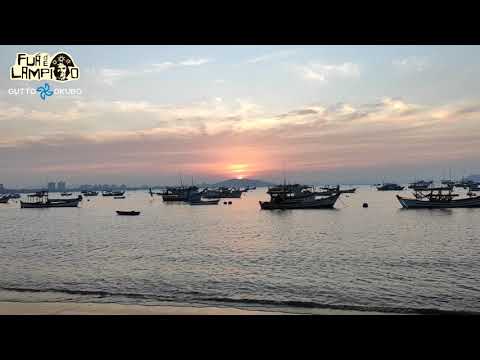 Fuá de Lampião | Gutto Okubo | Forró.