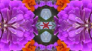 Restless (by Emmylou Harris and the Hot Band, Uptown Theatre, Kansas City, MO 3-19-83