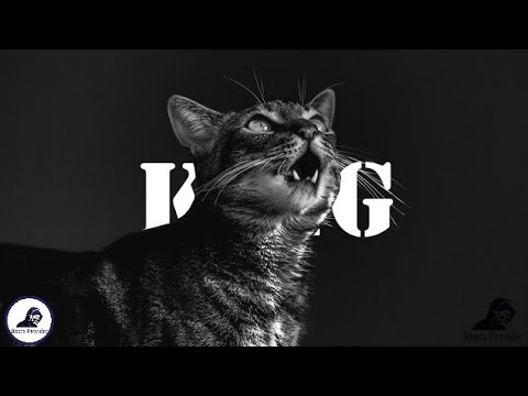 [FREE NO COPYRIGHT BEAT] "KING" - Hype Freestyle Type Beat | Free Type Beat | Kay-Z