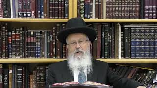 הגאון הרב אברהם יוסף שליט"א האם מותר לטלטל מוקצה מחמת גופו בשבת (הרב אברהם יוסף) - התמונה מוצגת ישירות מתוך אתר האינטרנט יוטיוב. זכויות היוצרים בתמונה שייכות ליוצרה. קישור קרדיט למקור התוכן נמצא בתוך דף הסרטון