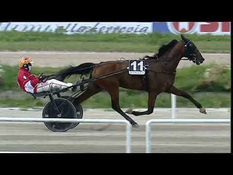 Napoli Trotto 01/06/2023 - 5ª corsa