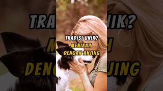 Download lagu Pernikahan manusia dan anjing?😱 fakta menarik #yangtautauaja23 #facts #faktamenarik #shrots #india mp3 Download lagu Pernikahan manusia dan anjing?😱 fakta menarik #yangtautauaja23 #facts #faktamenarik #shrots #india mp3