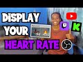How To See Your Heart Rate While Playing Games Spice Up Your Stream With Pulsoid