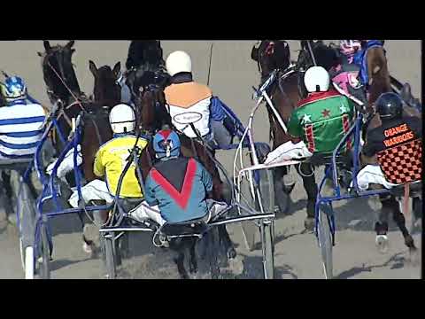 Napoli Trotto 10/02/2023 - 3ª corsa