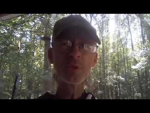 Bonesology vs my yankee wife