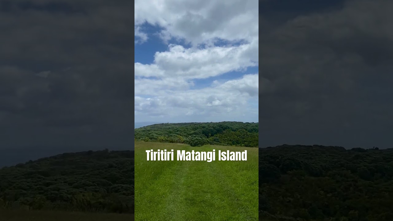 YouTube Short thumbnail