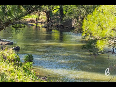 111 Old Carrowbrook Road, Singleton, NSW 2330, 0房, 0浴, Lifestyle Property