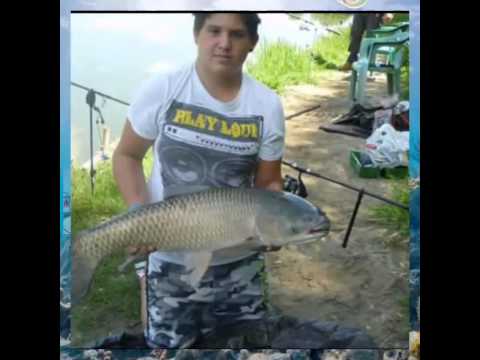 Ultimi tempi di carpfishing fino ad oggi