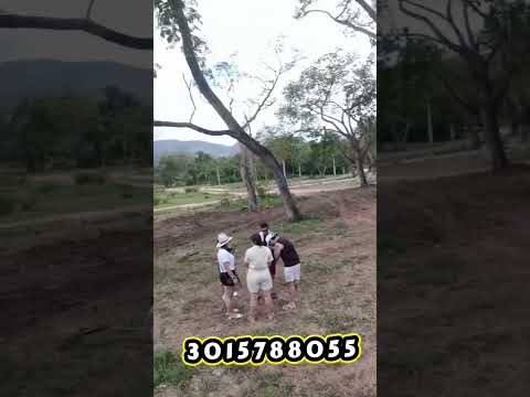 Mira los avances ..Proyecto Oasis...Carmen de Apicala Tolima.