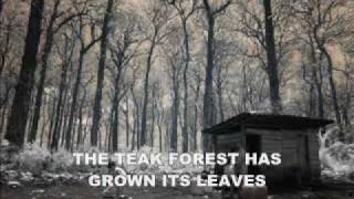 Download lagu RIMBA JATI - TRIO BIMBO & YANTI BERSAUDARA (Rain Forests) mp3 Download lagu RIMBA JATI - TRIO BIMBO & YANTI BERSAUDARA (Rain Forests) mp3