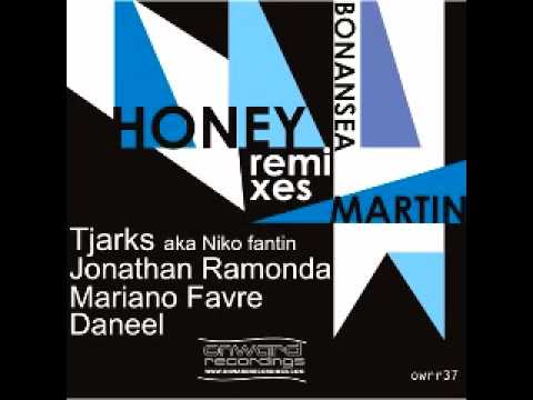 martin bonansea - honey(tjarks mix)