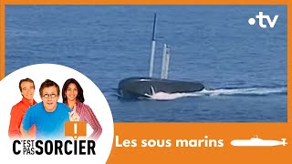 LES GAULOIS - C'est pas sorcier [Intégrale]