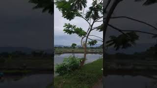 Download lagu Waktunya untuk menanam padi sambil liat gunung sawah #gunung #sawah #shorts #statuswa #jalanjajan mp3 Download lagu Waktunya untuk menanam padi sambil liat gunung sawah #gunung #sawah #shorts #statuswa #jalanjajan mp3