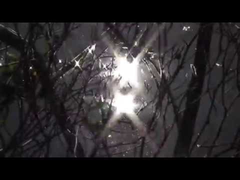 Natashas Songs / Наташины Песни / Inscription