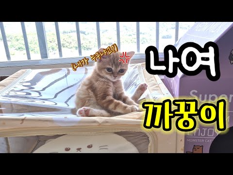 까꿍이가 X2배로 커졌어요