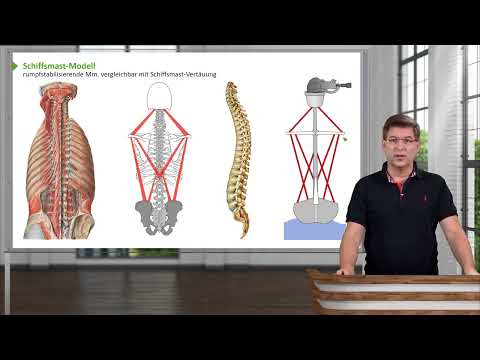 Anatomie I Bewegungssystem: Rücken - Einführung I Prof. Dr. med. Wirth