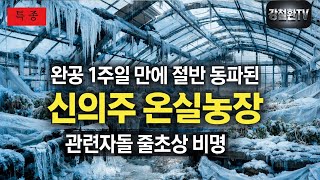 [특종] 완공 1주일 신의주 온실 농장 전력난으로 동파. 줄숙청 예고된 간부들 비명