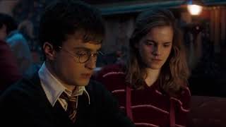 Harry Potter and the Order of the Phoenix (2007) Video