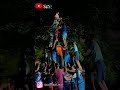 Dahihandi Status Dahihandi Status Video Download Dahihandi Lover Status