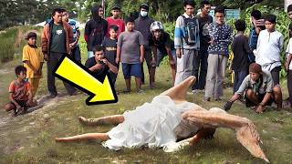 THE TRUTH MAY SHOCK YOU! - (FEW CHRISTIANS KNOW THIS)