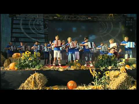 HARMONIKARSKI ORKESTER PUSTOTNIK - NA AVTOCESTI