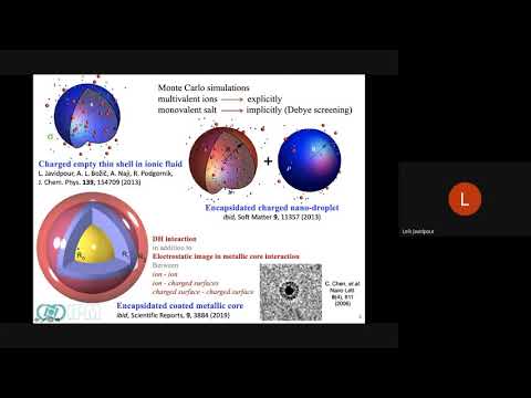 Virus-like Particles: Electrostatic Stability and Nanoparticle Encapsidation