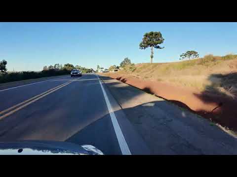 Rio Grande Do Sul  -  Mato Castelhano x Cruzaltinha