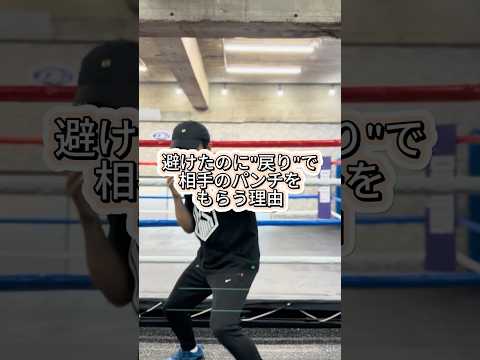 プロでも多い“戻り被弾”の原因 #椎野大輝 #mma #格闘技 #ガチボク#ボクシングトレーナー #ufc #プロボクシング