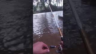 Download lagu Apa yang terjadi !! Mancing di saat cuaca mendung dan hujan deras #shortsviral mp3