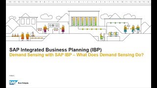 Demand Sensing in SAP IBP - What Does Demand Sensing Do