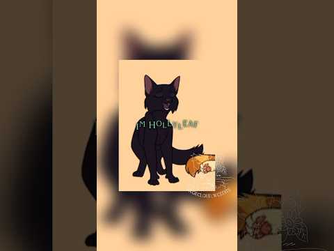 Warrior Cat Meme #hollyleaf #warriorcats #lionblaze #jayfeather #lol