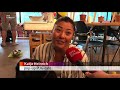 Eindeloos knuffelen met mopshondjes [RTV Utrecht]