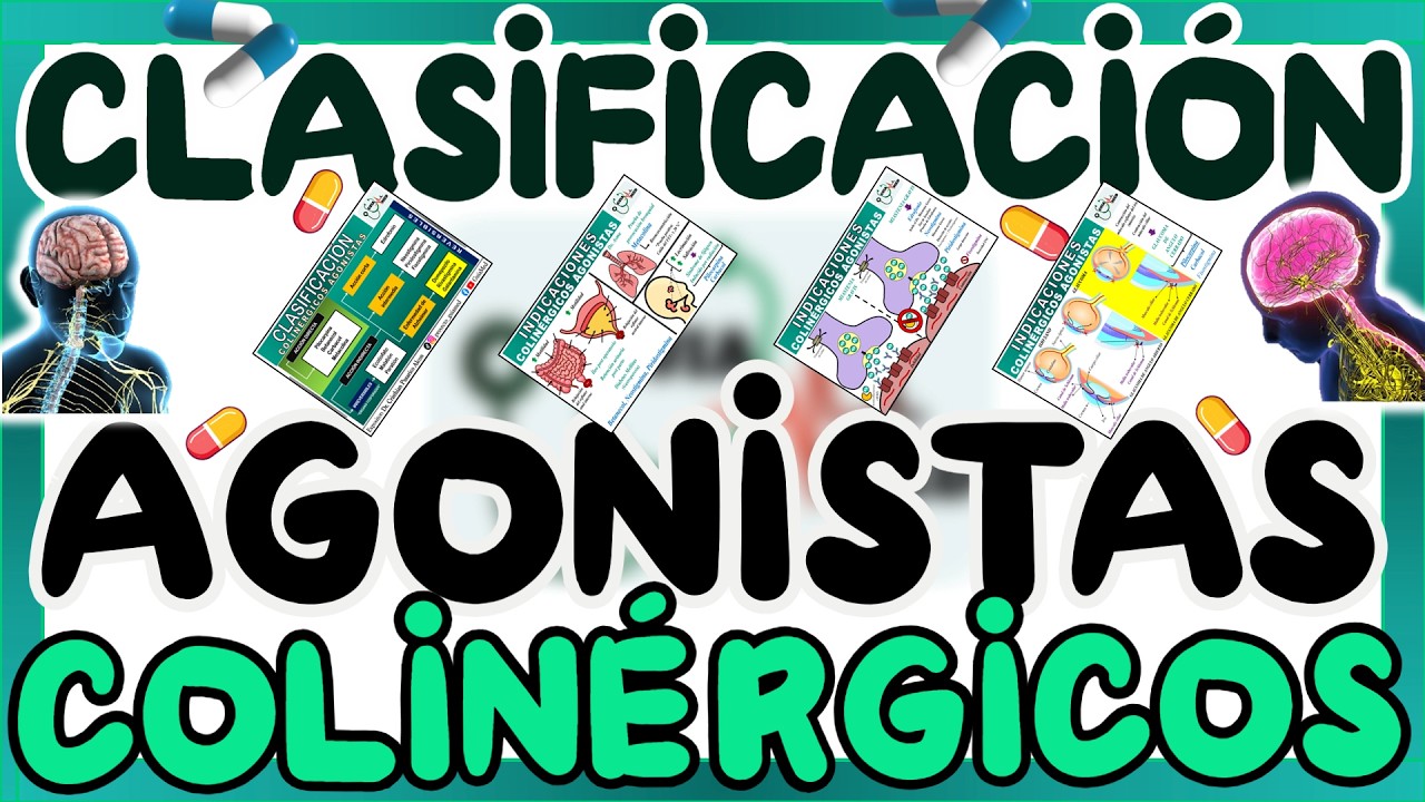 AGONISTAS COLINÉRGICOS CLASIFICACIÓN | GuiaMed