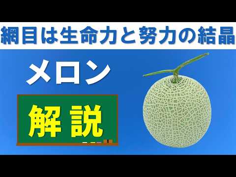 3 つのメロンについて詳しく解説