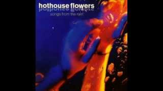 Hothouse Flowers - Good For You