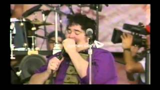 BLUES TRAVELER - But Anyway (woodstock 1994)