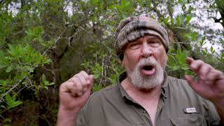 Bigfoot prophecy  For those that believe