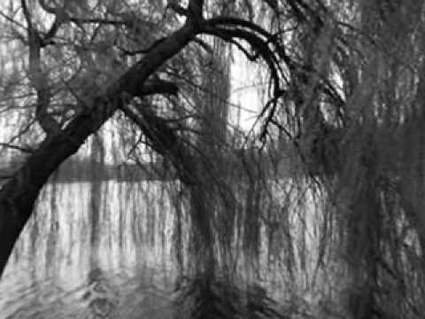 Worrytrain - Hospitalized