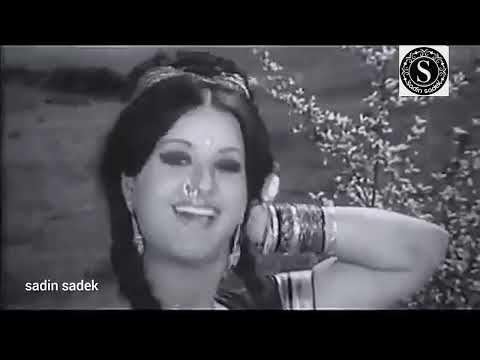 Main Ho Gayi Dilder Ki | মে হু গেয়ি দিলদার কি |ওয়াসিম❤️অলিভিয়া| Naheed Akhter-Tere Mere Sapne শীষনাগ