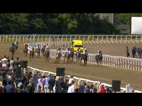 الجواد رسمي الخالدية Rasmy Al Khalediah إبن الفحل نايف الخالدية لإسطبلات الخالدية