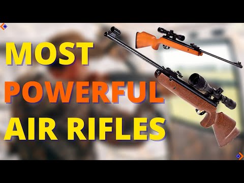 Top 10 Most Powerful Air Rifle In The World 2024 | Best Air Rifles 2024