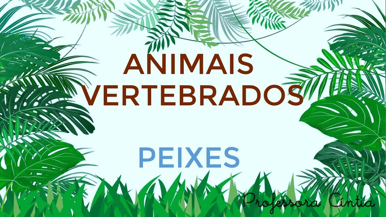 Animais vertebrados - Peixes