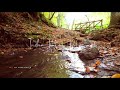 Alli Alli Thandhu Uravadum Song Whatsapp Status