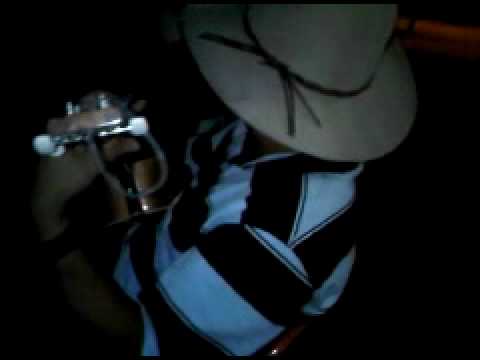 Jorge Guerrero 14 de Febrero. Cucarachero Araucano