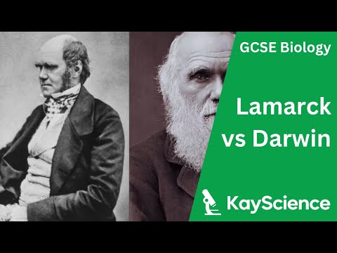 GCSE Biology – Lamarck vs Darwin: Evolution and Natural Selection