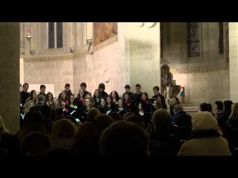 U svjetlosti hodimo - mješoviti zbor Srednje škole Petrinja